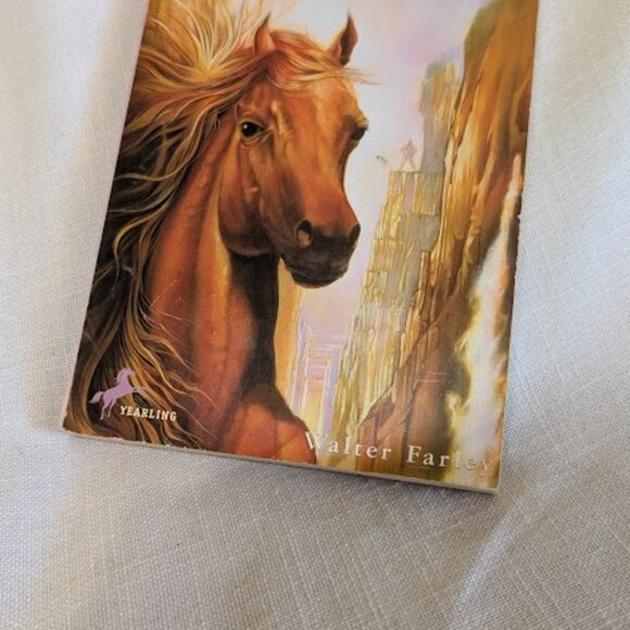 The Black Stallion, The Island Stallion, Learn to Draw Horses and Ponies - Picture 2 of 10